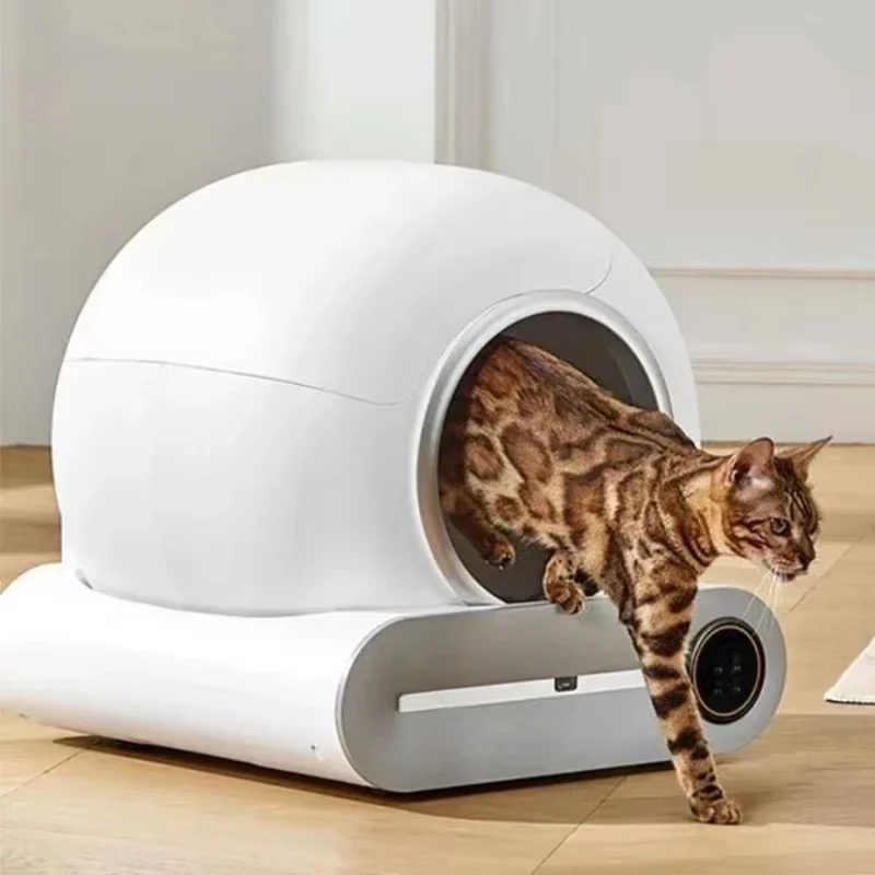 Un chat bengal sort de la litière autonettoyante Ronroza posée sur un parquet clair
