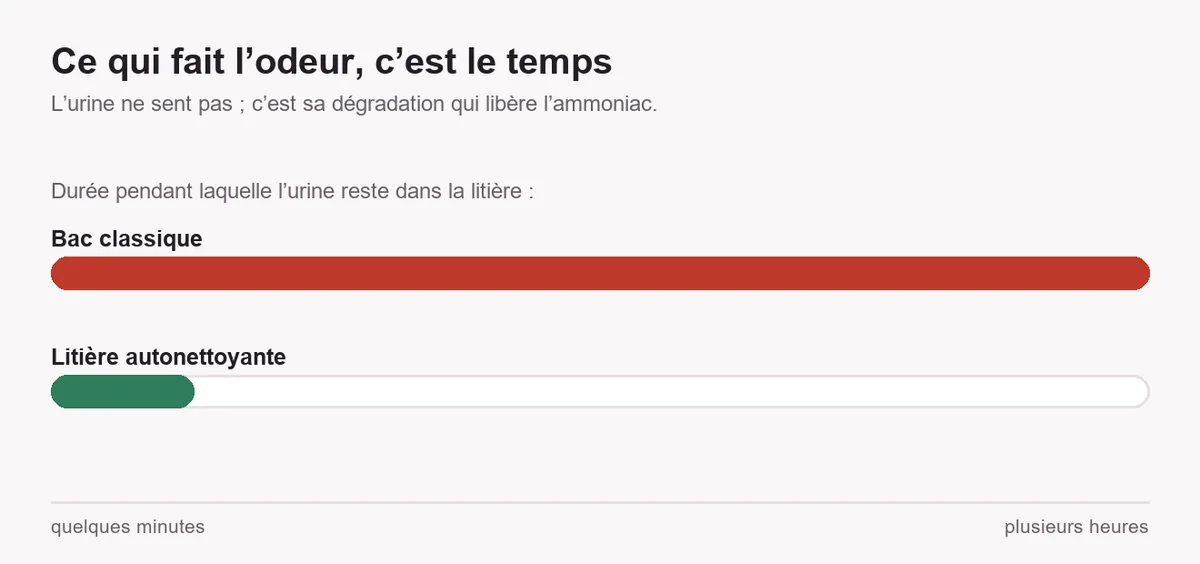 Schéma à deux barres comparant la durée pendant laquelle l’urine reste dans la litière : une barre longue pour un bac classique, une barre très courte pour une litière autonettoyante